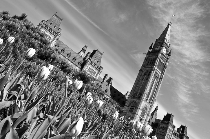 Photo of the Peace Tower taken during the summer