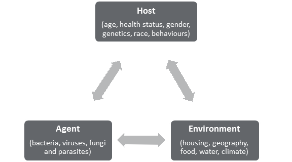 This figure depicts the three different factors that play a role in an individual’s health outcomes when exposed to an antimicrobial resistant pathogen. The health outcomes of the individual or host will be dependent upon the individual’s age, health status, gender, health related behaviors, genetics, race. The individual or host’s health outcomes will also be dependent upon they type of agent or pathogen that they are exposed to (bacterial, viruses, fungi or parasites), as well as the type of environment that they live in, including their housing conditions, geography, access to food and water, as well as overall climate. 
