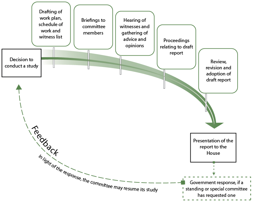 Diagram depicting the steps a committee takes when it undertakes a study. Starting with hear witnesses, produce a report and present the report to the House. A dashed line back to the beginning of the diagram labelled “feedback” represents the prerogative of the committee to study the government’s response.