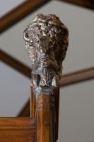 Photo gallery for photo 6