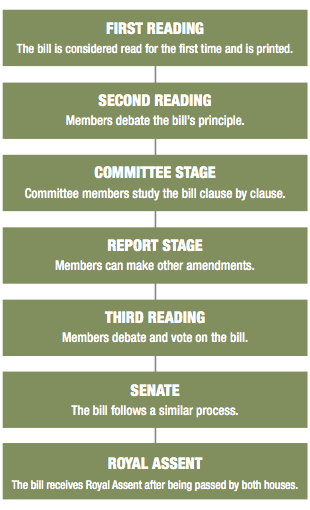 Graphic of the Legislative Process