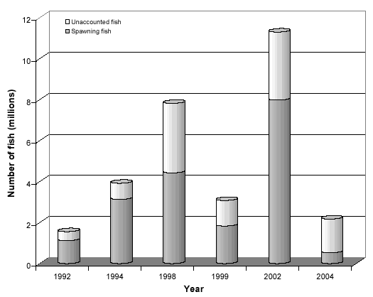Figure 2. Comparison of the number of unaccounted and spawning Fraser River sockeye salmon for the critical years 1992, 1994, 1998, 1999, 2002 and 2004