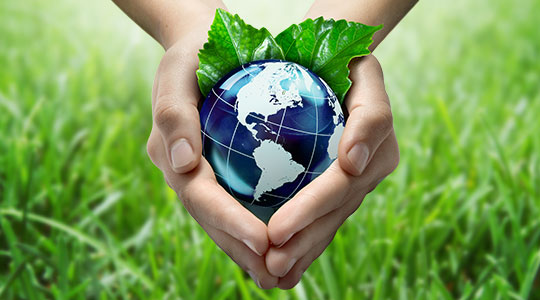 Environment and Sustainable Development