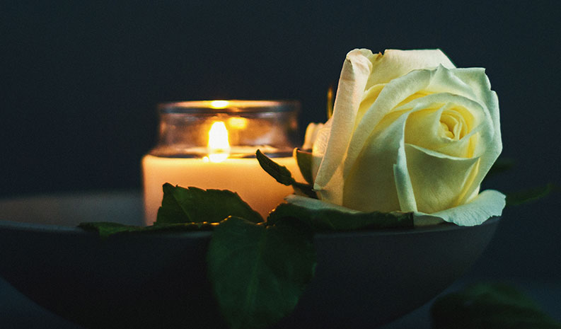 A white rose, symbol of remembrance for Polytechnique