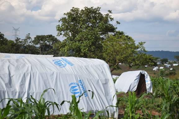 The photograph shows a field where recent refugees have made temporary homes, which have UNHCR tarps as roofs.