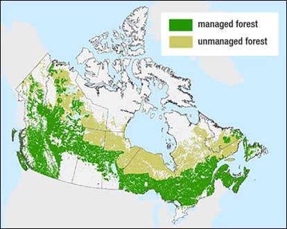 This figure indicates the managed forest area and unmanaged forest area on a map of Canada. From west to east, the managed forest area covers approximately: less than one quarter of the Yukon territory and less than one fifth of Northwest Territories; most of British Columbia and most of northern Alberta; most of central Saskatchewan and central Manitoba; most of the southern halves of Ontario and Quebec; most of New Brunswick and Nova Scotia; minimal portions of Prince Edward Island; less than one quarter of Newfoundland and Labrador; none of Nunavut. From west to east, the unmanaged forest area covers approximately: minimal portions of the Yukon; one third of the Northwest Territories; most of northern Saskatchewan, northern Manitoba; minimal portions of Nunavut; almost all of northern Ontario and most of northern Quebec; half of Labrador. In the figure, the unmanaged forest is not evident in British Columbia, Alberta, New Brunswick, Nova Scotia, or Prince Edward Island.