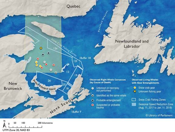 The map identifies the locations of North Atlantic right whale deaths and entanglements in the Gulf of St. Lawrence in 2017. It also shows snow crab fishing zones and the seasonal speed reduction zone from August 2017 to January 2018.