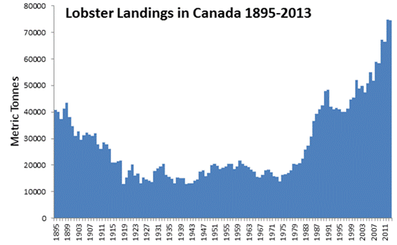 Canadian Lobster landings