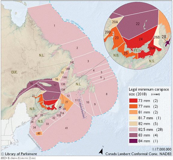 This map illustrates the boundaries of lobster fishing areas along the East Coast of Canada in 2018.  Fishing areas are also categorized in this map by the legal minimum carapace size allowed to be harvested. Areas on the north and southeast coast of Prince Edward Island may harvest the smallest sized lobsters at 73mm. All areas surrounding Newfoundland and Labrador, as well as most of the coastal waters off Nova Scotia are limited to a minimum of 82.5mm. Lobster fisheries in the Gulf of St. Lawrence must harvest at a minimum of 83mm, while Bras d’Or Lake in Cape Breton Island, Nova Scotia retains the largest minimum size of 84mm.