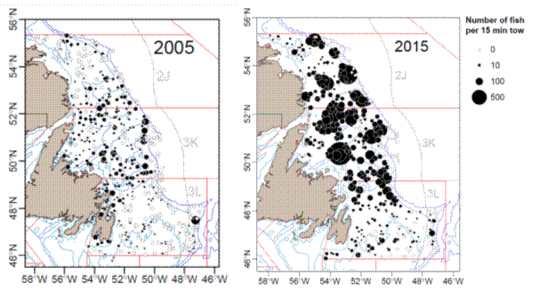 Northern cod stock abundance has increased 4.5-fold from 2005 to 2015 but a similar early rebuilding has not been observed in southern division 3L.