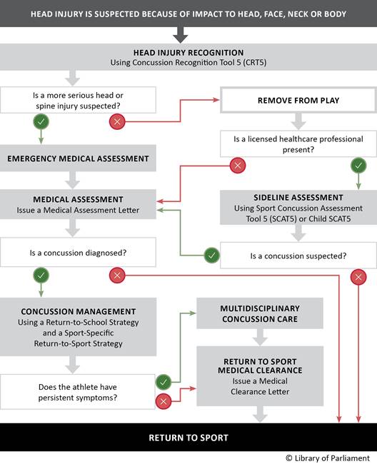 The infographic shows a decision flow chart with a series of questions and steps to be taken if an athlete is suspected of suffering a head injury due to an impact to the head, face, neck or body. The top of the chart begins: “Head Injury Is Suspected Because of Impact to Head, Face, Neck or Body.” This is followed by the heading “Head Injury Recognition: Using Concussion Recognition Tool 5 (CRT5),” then the question: “Is a more serious head or spine injury suspected?” 1. If the answer is “Yes” to serious head or spine injury suspected, then proceed to “Emergency Medical Assessment,” then “Medical Assessment: Issue a Medical Assessment Letter.” This step is followed by the question: “Is a concussion diagnosed?” a. If the answer is “Yes” to concussion diagnosed, then proceed to “Concussion Management: Using a Return-to-School Strategy and a Sport-Specific Return-to-Sport Strategy”, followed by the question: “Does the athlete have persistent symptoms?” i. If the answer is “Yes” to persistent symptoms, then proceed to “Multidisciplinary Concussion Care,” followed by “Return to Sport Medical Clearance: Issue a Medical Clearance Letter,” ending with “Return to Sport.” ii. If the answer is “No” to persistent symptoms, then proceed to “Return to Sport Medical Clearance: Issue a Medical Clearance Letter,” ending with “Return to Sport.” b. If the answer is “No” to concussion diagnosed, then proceed to “Return to Sport.” 2. If the answer is “No” to serious head or spine injury suspected, then proceed to “Remove from Play,” followed by the question: “Is a licensed healthcare professional present?” a. If the answer is “Yes” to licensed healthcare professional present, then proceed to “Sideline Assessment: Using Sport Concussion Assessment Tool 5 (SCAT5) or Child SCAT5,” followed by the question: “Is a concussion suspected?” i. If the answer is “Yes” to concussion suspected, then proceed to “Medical Assessment: Issue a Medical Assessment Letter,” followed by the question: “Is a concussion diagnosed?” 1. If the answer is “Yes” to concussion diagnosed, then proceed to “Concussion Management: Using a Return-to-School Strategy and a Sport-Specific Return-to-Sport Strategy,” followed by the question: “Does the athlete have persistent symptoms?” a. If the answer is “Yes” to persistent symptoms, then proceed to “Multidisciplinary Concussion Care,” followed by “Return to Sport Medical Clearance: Issue a Medical Clearance Letter,” ending with “Return to Sport.” b. If the answer is “No” to persistent symptoms, then proceed to “Return to Sport Medical Clearance: Issue a Medical Clearance Letter,” ending with “Return to Sport.” 2. If the answer is “No” to concussion diagnosed, then proceed to “Return to Sport.” ii. If the answer is “No” to concussion suspected, then “Return to Sport.” b. If the answer is “No” to licensed healthcare professional present, then proceed to “Medical Assessment: Issue a Medical Assessment Letter,” followed by the question: “Is a concussion diagnosed?” i. If the answer is “Yes” to concussion diagnosed, then proceed to “Concussion Management: Using a Return-to-School Strategy and a Sport-Specific Return-to-Sport Strategy,” followed by the question: “Does the athlete have persistent symptoms?” 1. If the answer is “Yes” to persistent symptoms, then proceed to “Multidisciplinary Concussion Care,” followed by “Return to Sport Medical Clearance: Issue a Medical Clearance Letter,” ending with “Return to Sport.” 2. If the answer is “No” to symptoms, then proceed to “Return to Sport Medical Clearance: Issue a Medical Clearance Letter,” ending with “Return to Sport.” ii. If the answer is “No” to concussion diagnosed, then proceed to “Return to Sport.”