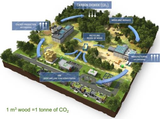 This image depicts the forest carbon cycle. It estimates that one cubic meter of wood sequesters one tonne of carbon dioxide. The image shows six stages of the forest carbon cycle: 
1.	the harvesting of wood and biomass from the forest; 
2.	the manufacturing of forest-sourced products (and associated air emissions); 
3.	the use of forest products (as a form of short and long term carbon sequestration); 
4.	energy production from forest-sourced biomaterial (and associated air emissions); 
5.	the recycling and reuse of wood, which feeds back into the manufacturing and energy production processes; and
6.	finally, the cycle loops back to the forest where carbon dioxide is absorbed.