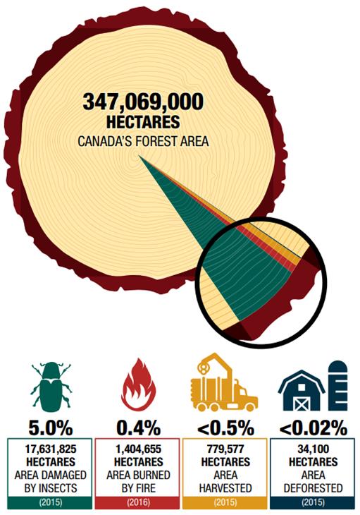This pie chart presents statistics pertaining to the disturbance of Canadian forests. Of Canada’s 347,069,000 hectares of forest area: 
•	5% (or 17,631,825 hectares) were damaged by insects, according to 2015 figures; 
•	0.4% (or 1,404,655 hectares) was burned by fire, according to 2016 figures; 
•	less than 0.5% (or 779,577 hectares) was harvested, according to 2015 figures; and finally, 
•	less than 0.02% (or 34,100 hectares) was deforested, according to 2015 figures.