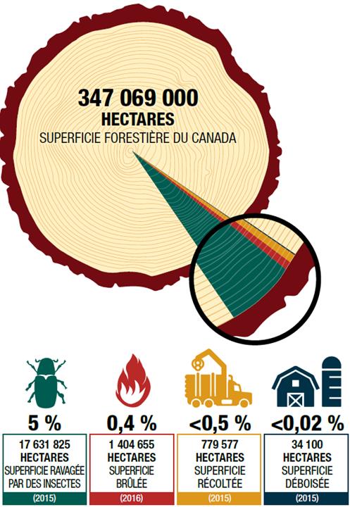 Le diagramme à secteurs présente des statistiques sur les perturbations des forêts canadiennes. Des 347 069 000 hectares de forêt au Canada : 
•	5 %, soit 17 631 825 hectares, ont été ravagés par des insectes, selon des données de 2015; 
•	0,4 %, soit 1 404 655 hectares, ont été brulés, selon des données de 2016; 
•	moins de 0,5 %, soit 779 577 hectares, ont été récoltés, selon des données de 2015;
•	enfin, moins de 0,02 %, soit 34 100 hectares, ont été déboisés, selon des données de 2015.