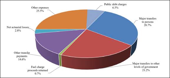 The main types of expenses are the major transfers to persons (28.7%), the major transfers to other levels of government (21.2%) and other expenses (25.5%).