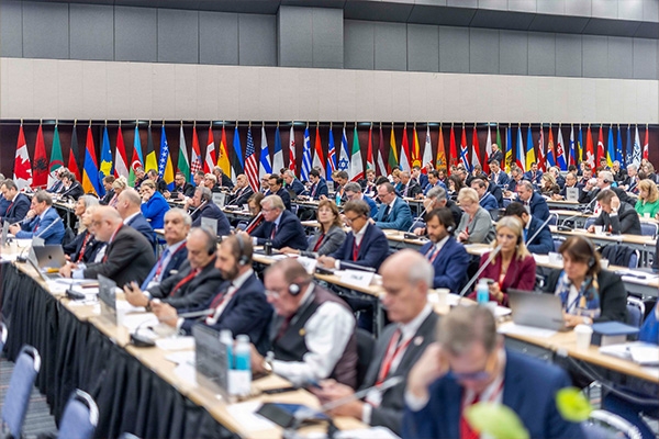 A large meeting room with many people seated at long tables. The room is set up for a NATO interparliamentary assembly, with flags from different countries in the background.