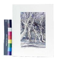 Photo gallery for Winter`s Jungle photo 2